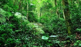 山林环保爆料怎么做视频,揭秘视频制作全攻略